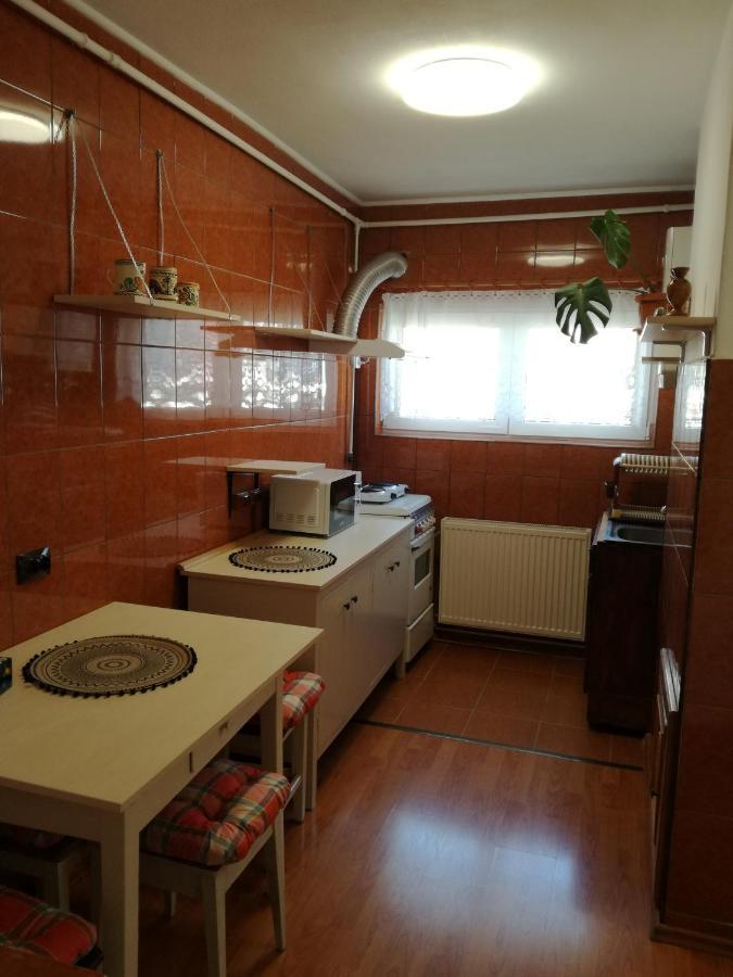 Sara Apartman Targu Mures Exterior photo